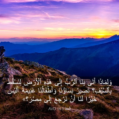 Picture 03 - اَلْعَدَد 14:3 AVD - وَلِمَاذَا أَتَى بِنَا - Bible Verse Picture