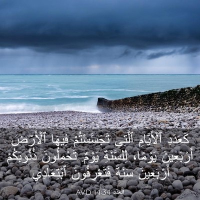 Picture 03 - اَلْعَدَد 14:34 AVD - كَعَدَدِ ٱلْأَيَّامِ - Bible Verse Picture