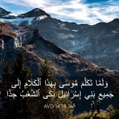 Picture 03 - اَلْعَدَد 14:39 AVD - وَلَمَّا تَكَلَّمَ مُوسَى - Bible Verse Picture