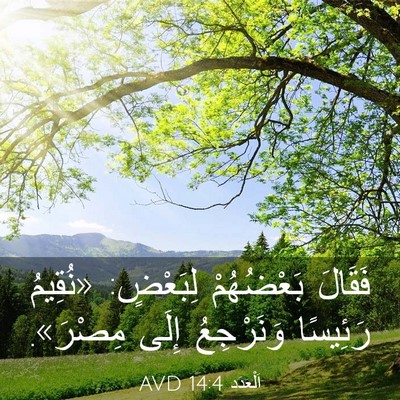 Picture 03 - اَلْعَدَد 14:4 AVD - فَقَالَ بَعْضُهُمْ - Bible Verse Picture