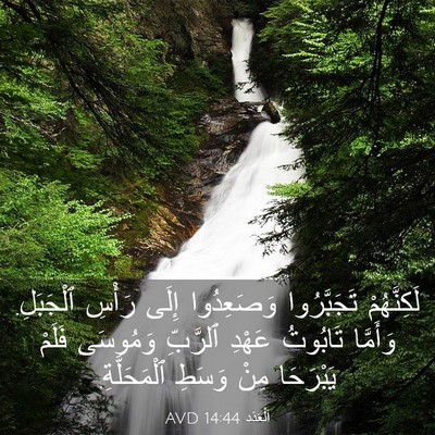 Picture 03 - اَلْعَدَد 14:44 AVD - لَكِنَّهُمْ تَجَبَّرُوا - Bible Verse Picture
