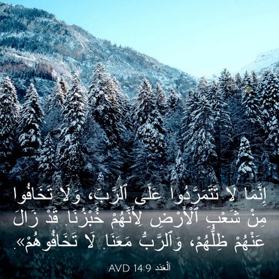 Picture 03 - اَلْعَدَد 14:9 AVD - إِنَّمَا لَا - Bible Verse Picture