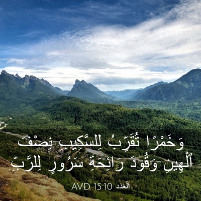 Picture 03 - اَلْعَدَد 15:10 AVD - وَخَمْرًا تُقَرِّبُ - Bible Verse Picture