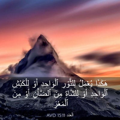 Picture 03 - اَلْعَدَد 15:11 AVD - هَكَذَا يُعْمَلُ - Bible Verse Picture