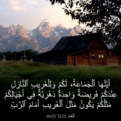 Picture 03 - اَلْعَدَد 15:15 AVD - أَيَّتُهَا ٱلْجَمَاعَةُ، - Bible Verse Picture