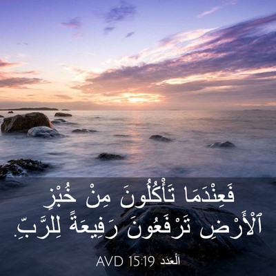 Picture 03 - اَلْعَدَد 15:19 AVD - فَعِنْدَمَا تَأْكُلُونَ - Bible Verse Picture