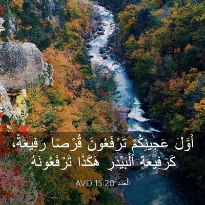 Picture 03 - اَلْعَدَد 15:20 AVD - أَوَّلَ عَجِينِكُمْ - Bible Verse Picture