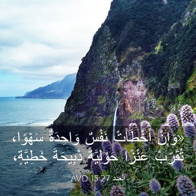 Picture 03 - اَلْعَدَد 15:27 AVD - «وَإِنْ أَخْطَأَتْ نَفْسٌ - Bible Verse Picture