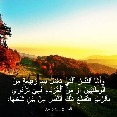 Picture 03 - اَلْعَدَد 15:30 AVD - وَأَمَّا ٱلنَّفْسُ - Bible Verse Picture