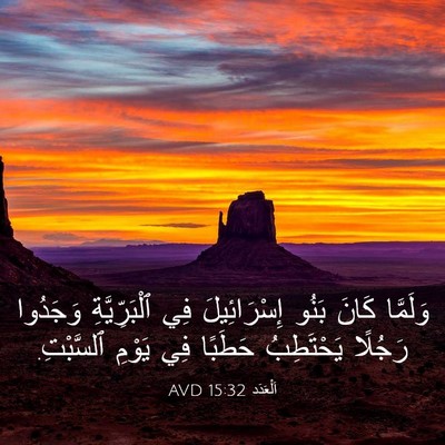 Picture 03 - اَلْعَدَد 15:32 AVD - وَلَمَّا كَانَ بَنُو - Bible Verse Picture