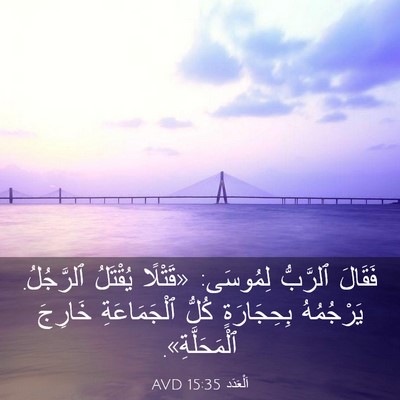 Picture 03 - اَلْعَدَد 15:35 AVD - فَقَالَ ٱلرَّبُّ لِمُوسَى: - Bible Verse Picture