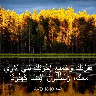 Picture 03 - اَلْعَدَد 16:10 AVD - فَقَرَّبَكَ وَجَمِيعَ - Bible Verse Picture