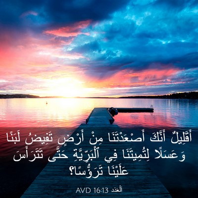 Picture 03 - اَلْعَدَد 16:13 AVD - أَقَلِيلٌ أَنَّكَ - Bible Verse Picture