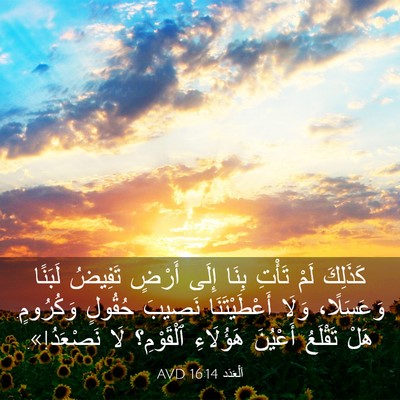 Picture 03 - اَلْعَدَد 16:14 AVD - كَذَلِكَ لَمْ تَأْتِ بِنَا - Bible Verse Picture