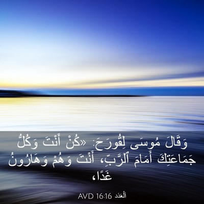 Picture 03 - اَلْعَدَد 16:16 AVD - وَقَالَ مُوسَى لِقُورَحَ: - Bible Verse Picture