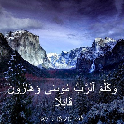 Picture 03 - اَلْعَدَد 16:20 AVD - وَكَلَّمَ ٱلرَّبُّ مُوسَى - Bible Verse Picture