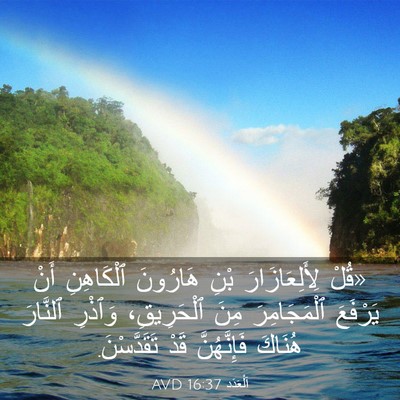 Picture 03 - اَلْعَدَد 16:37 AVD - «قُلْ لِأَلِعَازَارَ بْنِ - Bible Verse Picture