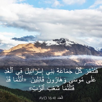 Picture 03 - اَلْعَدَد 16:41 AVD - فَتَذَمَّرَ كُلُّ - Bible Verse Picture