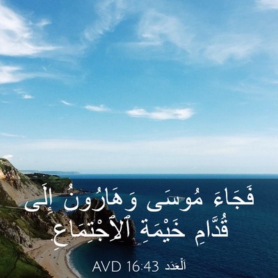 Picture 03 - اَلْعَدَد 16:43 AVD - فَجَاءَ مُوسَى وَهَارُونُ - Bible Verse Picture