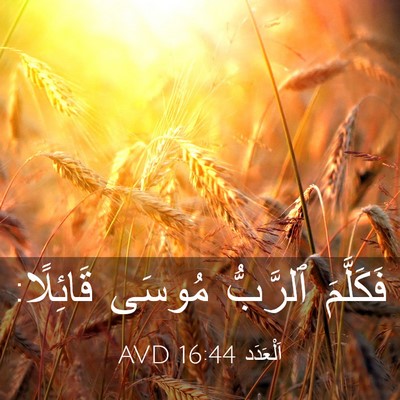 Picture 03 - اَلْعَدَد 16:44 AVD - فَكَلَّمَ ٱلرَّبُّ مُوسَى - Bible Verse Picture