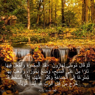 Picture 03 - اَلْعَدَد 16:46 AVD - ثُمَّ قَالَ مُوسَى - Bible Verse Picture