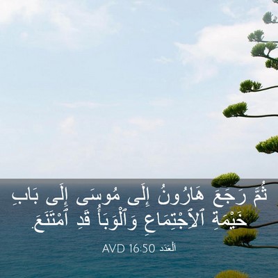 Picture 03 - اَلْعَدَد 16:50 AVD - ثُمَّ رَجَعَ هَارُونُ - Bible Verse Picture