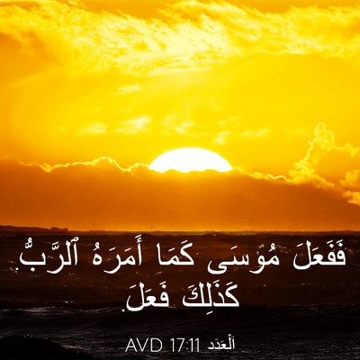 Picture 03 - اَلْعَدَد 17:11 AVD - فَفَعَلَ مُوسَى كَمَا - Bible Verse Picture