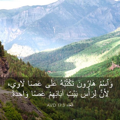 Picture 03 - اَلْعَدَد 17:3 AVD - وَٱسْمُ هَارُونَ - Bible Verse Picture