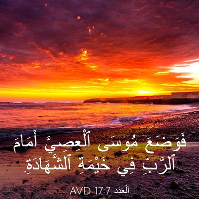 Picture 03 - اَلْعَدَد 17:7 AVD - فَوَضَعَ مُوسَى - Bible Verse Picture