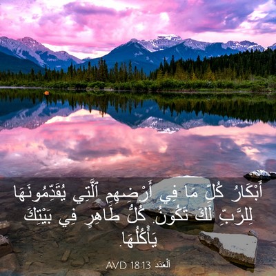 Picture 03 - اَلْعَدَد 18:13 AVD - أَبْكَارُ كُلِّ مَا فِي - Bible Verse Picture