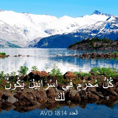 Picture 03 - اَلْعَدَد 18:14 AVD - كُلُّ مُحَرَّمٍ فِي - Bible Verse Picture
