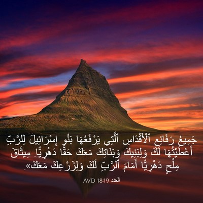 Picture 03 - اَلْعَدَد 18:19 AVD - جَمِيعُ رَفَائِعِ - Bible Verse Picture