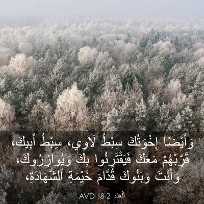 Picture 03 - اَلْعَدَد 18:2 AVD - وَأَيْضًا إِخْوَتُكَ - Bible Verse Picture
