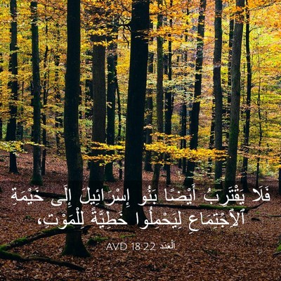 Picture 03 - اَلْعَدَد 18:22 AVD - فَلَا يَقْتَرِبُ أَيْضًا - Bible Verse Picture