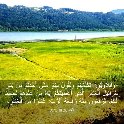 Picture 03 - اَلْعَدَد 18:26 AVD - «وَٱللَّاوِيُّونَ - Bible Verse Picture