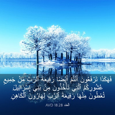 Picture 03 - اَلْعَدَد 18:28 AVD - فَهَكَذَا تَرْفَعُونَ - Bible Verse Picture