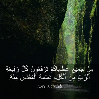 Picture 03 - اَلْعَدَد 18:29 AVD - مِنْ جَمِيعِ عَطَايَاكُمْ - Bible Verse Picture