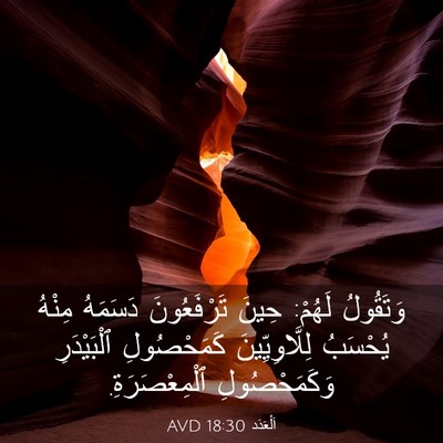Picture 03 - اَلْعَدَد 18:30 AVD - وَتَقُولُ لَهُمْ: حِينَ - Bible Verse Picture