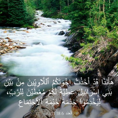Picture 03 - اَلْعَدَد 18:6 AVD - هَأَنَذَا قَدْ أَخَذْتُ - Bible Verse Picture