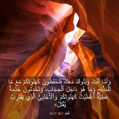 Picture 03 - اَلْعَدَد 18:7 AVD - وَأَمَّا أَنْتَ وَبَنُوكَ - Bible Verse Picture