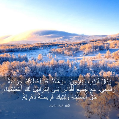 Picture 03 - اَلْعَدَد 18:8 AVD - وَقَالَ ٱلرَّبُّ - Bible Verse Picture