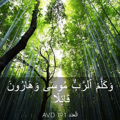 Picture 03 - اَلْعَدَد 19:1 AVD - وَكَلَّمَ ٱلرَّبُّ مُوسَى - Bible Verse Picture