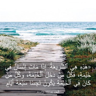 Picture 03 - اَلْعَدَد 19:14 AVD - «هَذِهِ هِيَ ٱلشَّرِيعَةُ: - Bible Verse Picture