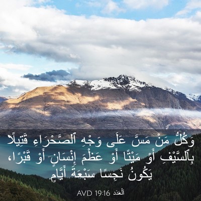 Picture 03 - اَلْعَدَد 19:16 AVD - وَكُلُّ مَنْ مَسَّ عَلَى - Bible Verse Picture