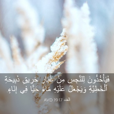 Picture 03 - اَلْعَدَد 19:17 AVD - فَيَأْخُذُونَ لِلنَّجِسِ - Bible Verse Picture