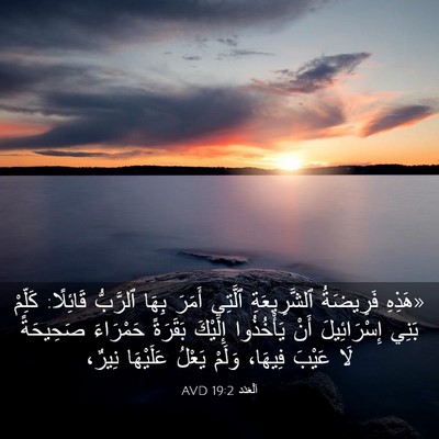 Picture 03 - اَلْعَدَد 19:2 AVD - «هَذِهِ فَرِيضَةُ - Bible Verse Picture