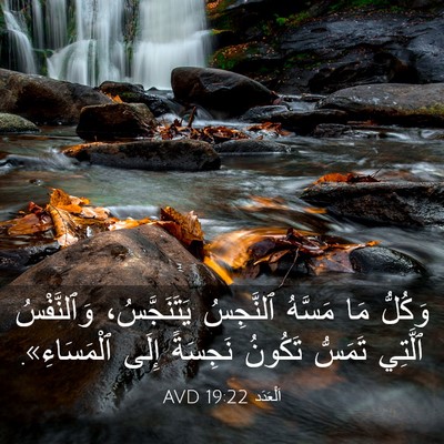 Picture 03 - اَلْعَدَد 19:22 AVD - وَكُلُّ مَا مَسَّهُ - Bible Verse Picture