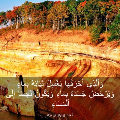 Picture 03 - اَلْعَدَد 19:8 AVD - وَٱلَّذِي أَحْرَقَهَا - Bible Verse Picture