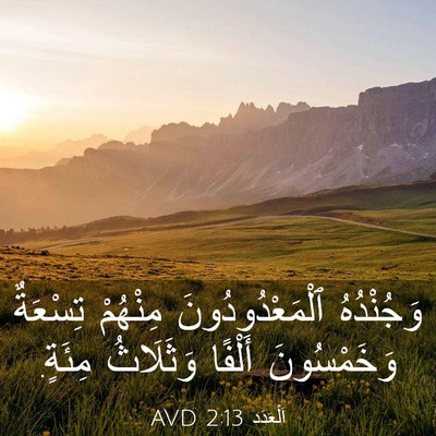Picture 03 - اَلْعَدَد 2:13 AVD - وَجُنْدُهُ - Bible Verse Picture