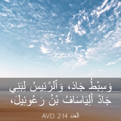 Picture 03 - اَلْعَدَد 2:14 AVD - وَسِبْطُ جَادَ، - Bible Verse Picture